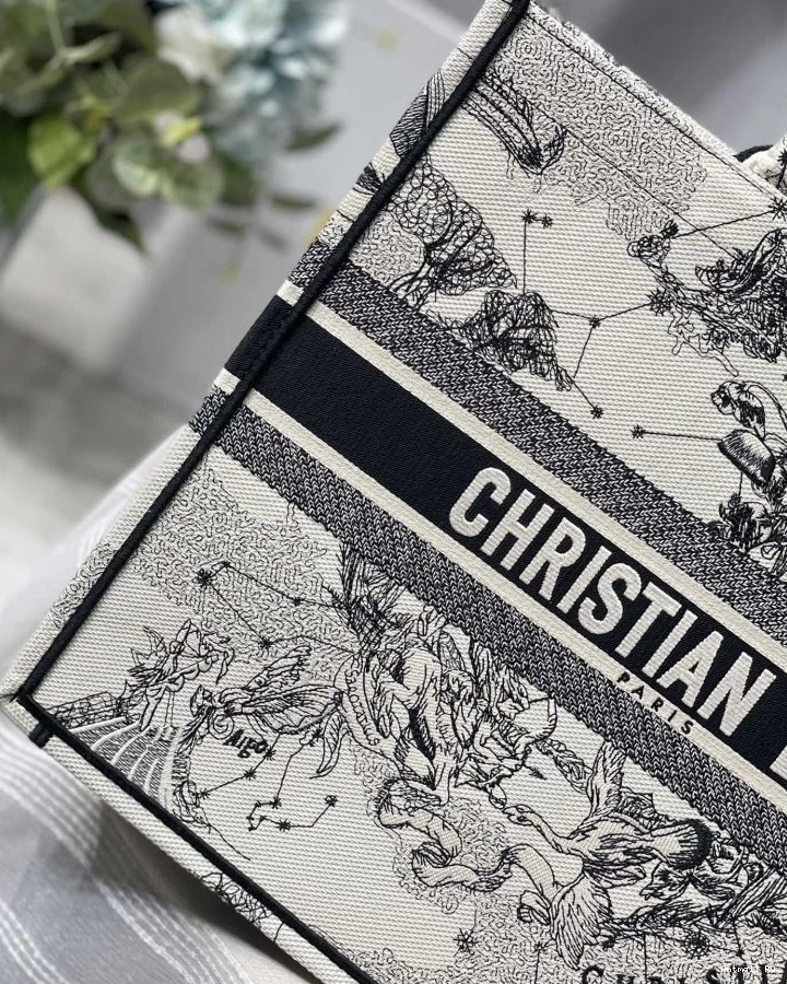 75604 GoAnywhere Dior Christian Bags Shopping 0719